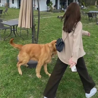 家族的肖像